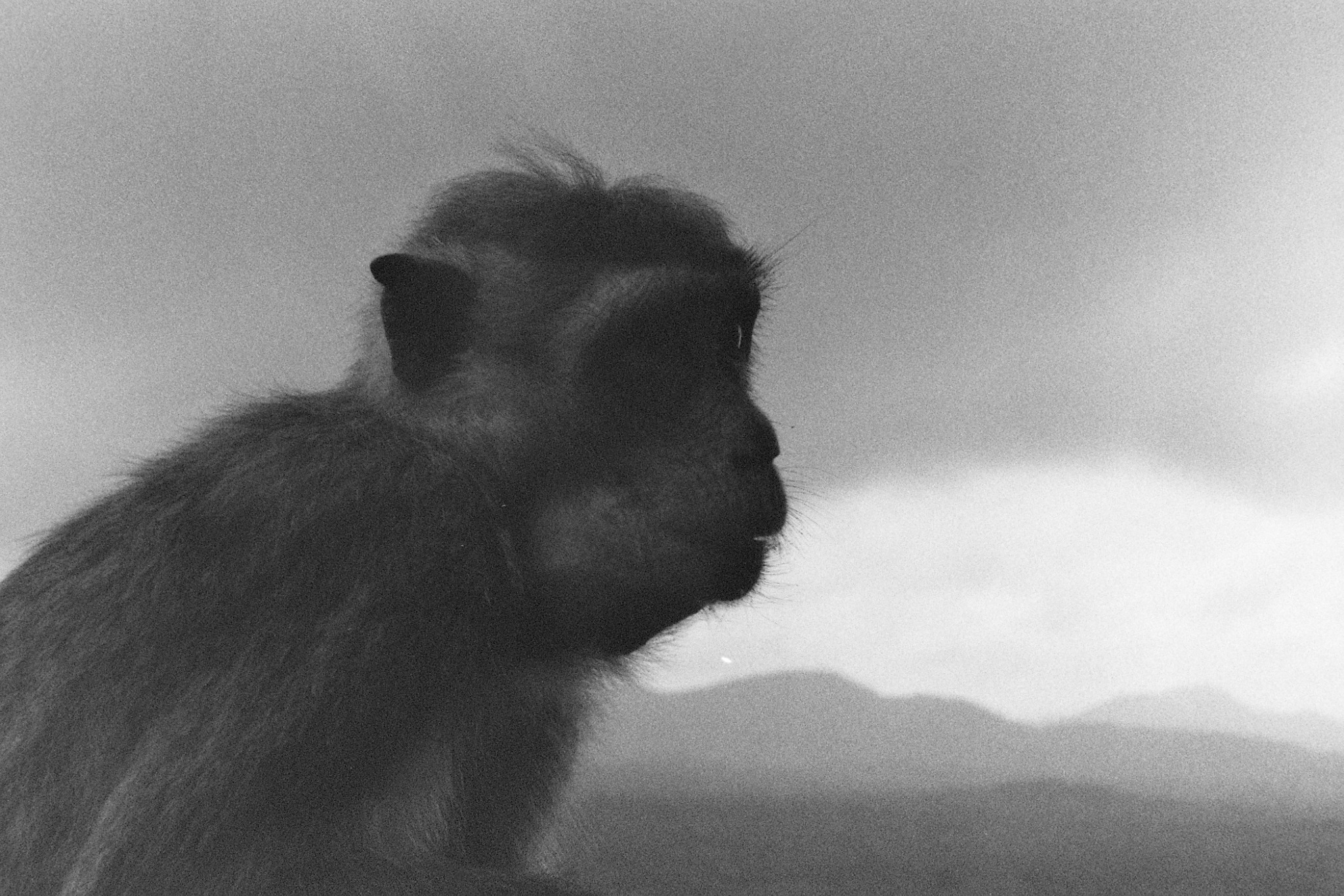 35mm film photograph, frame 02