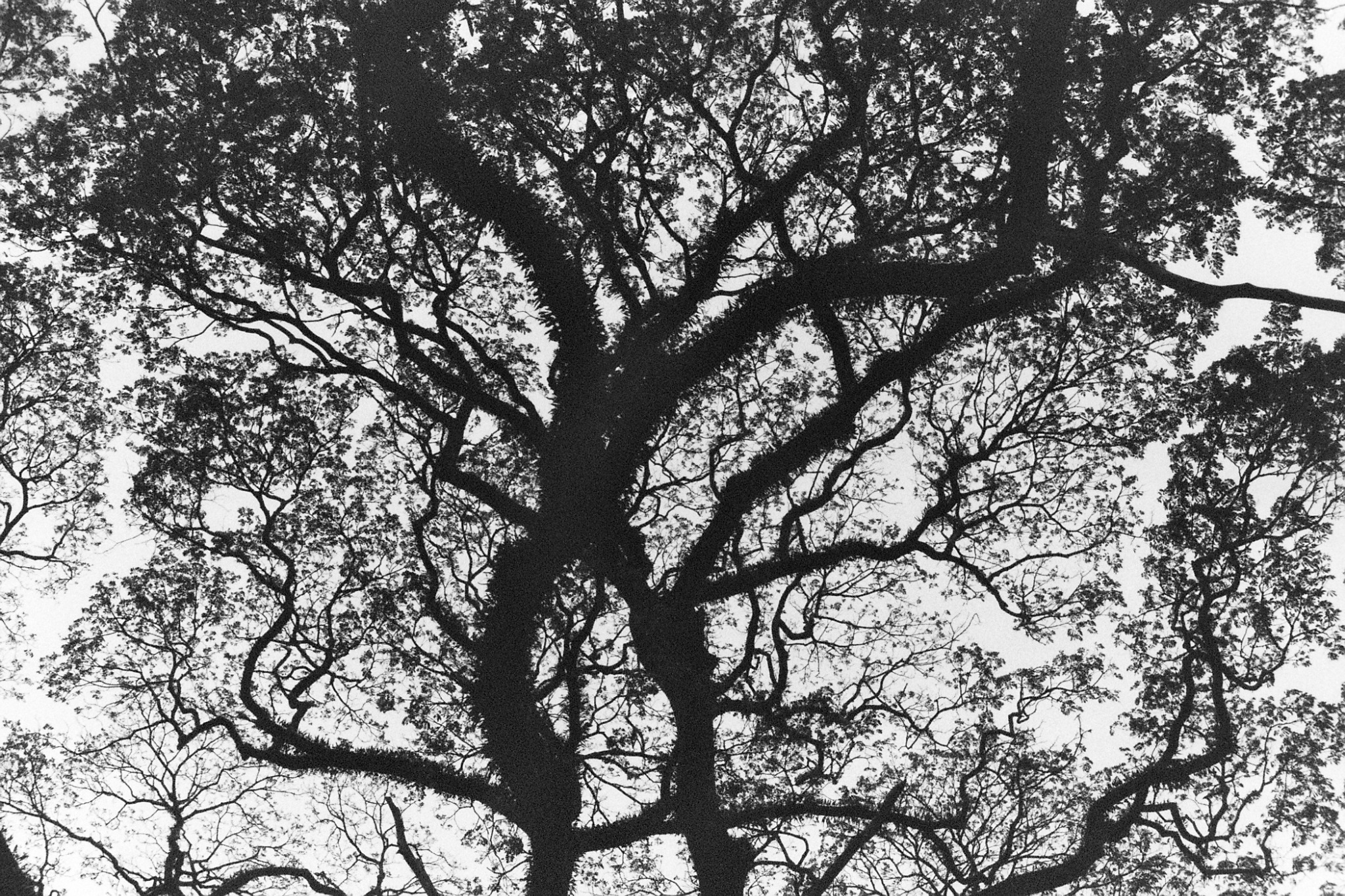 35mm film photograph, frame 06